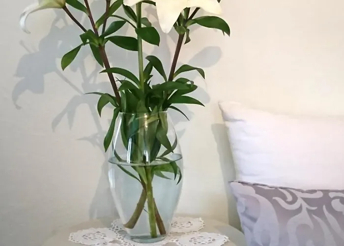 Sfinga In The Heart Of Diocletian's Palace Сплит