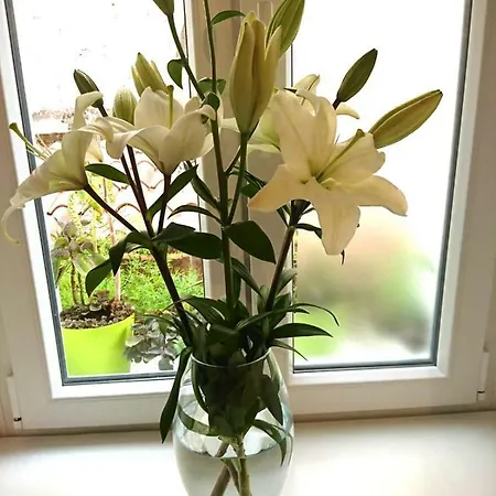 Sfinga In The Heart Of Diocletian's Palace